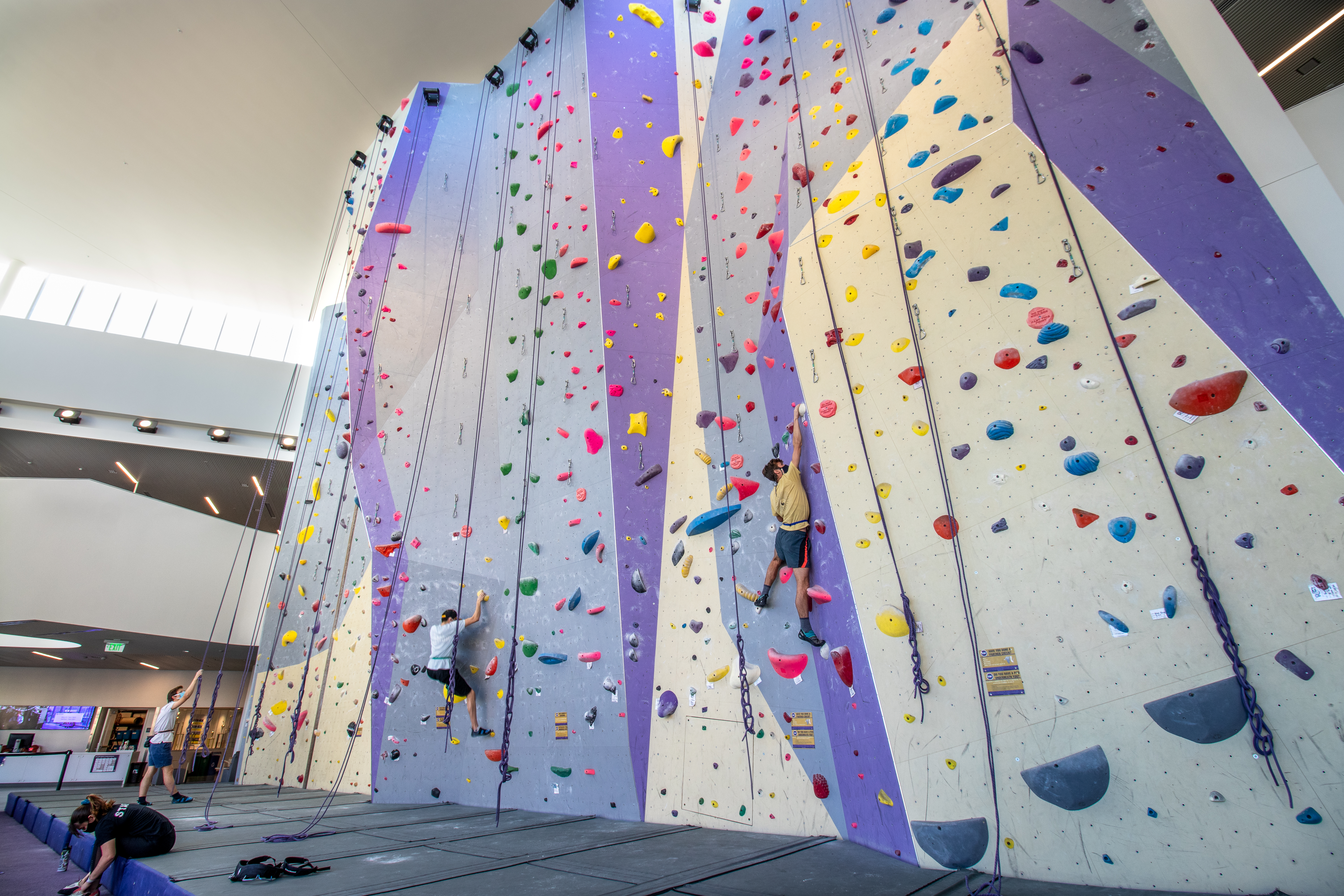 Mashouf Wellness Center Climbing Wall