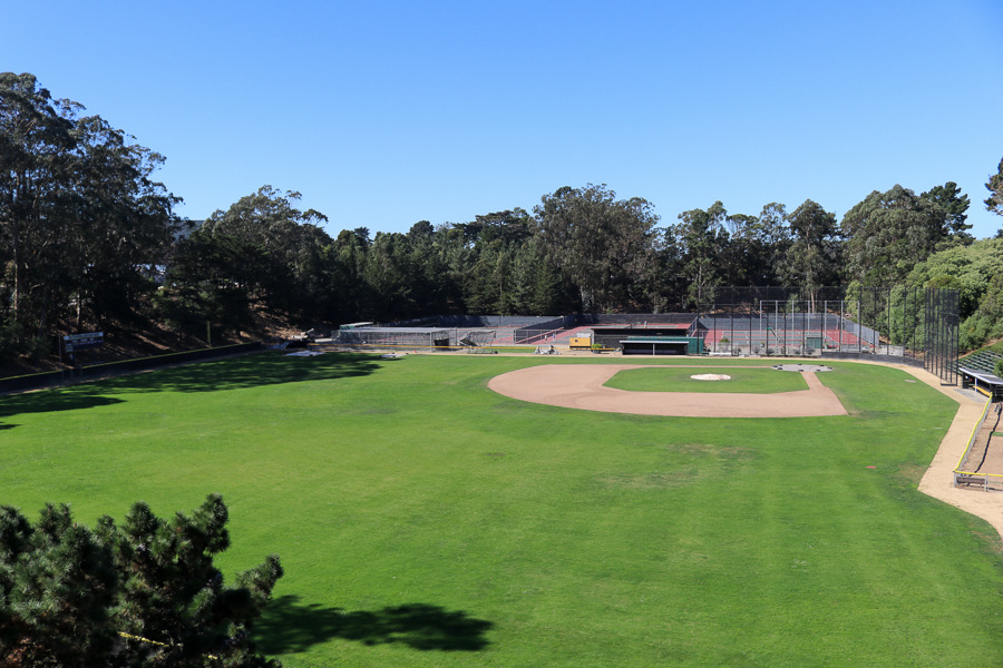 Maloney Field Top