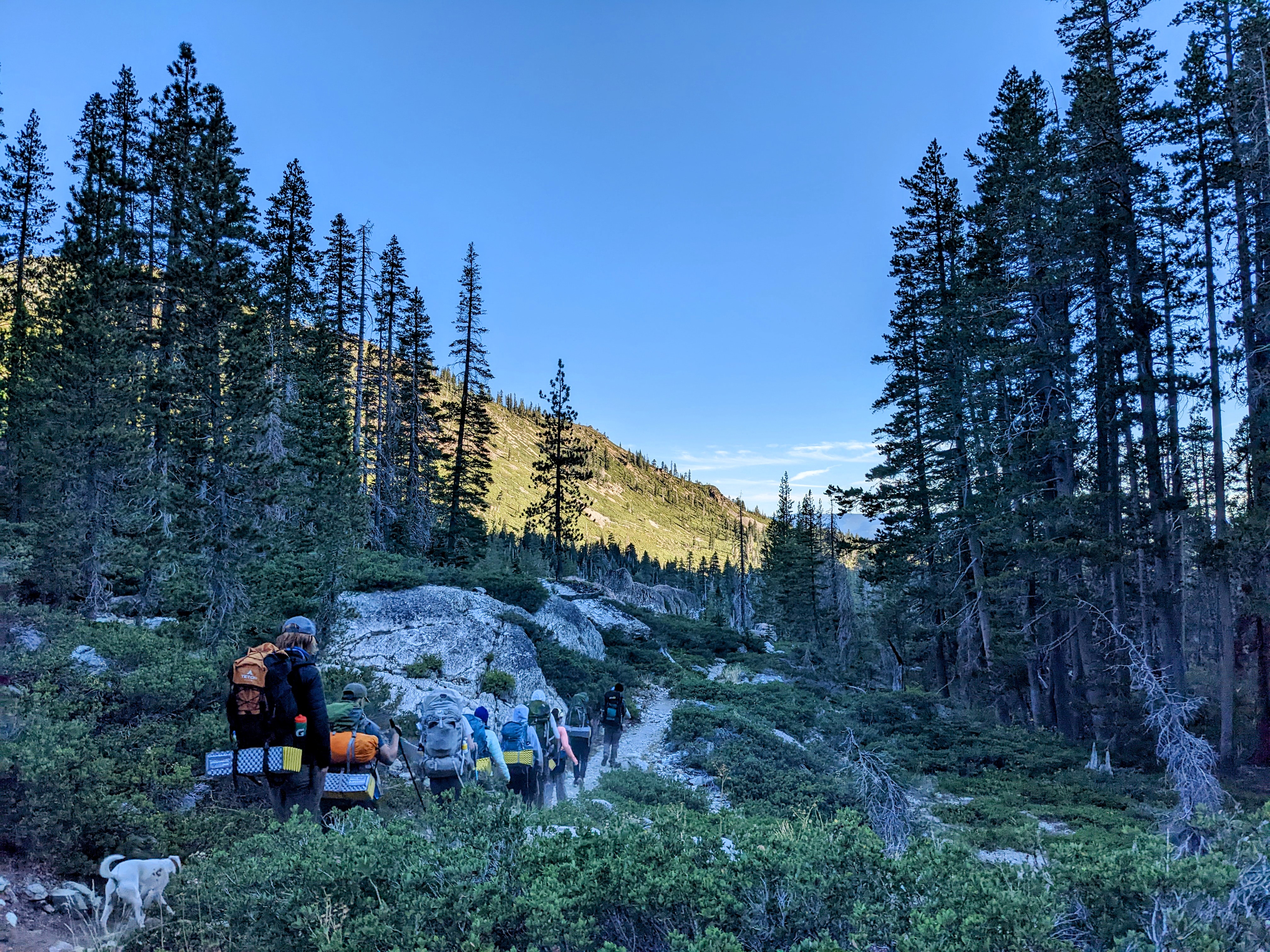 Sierra Nevada Field Campus Bridge Hike