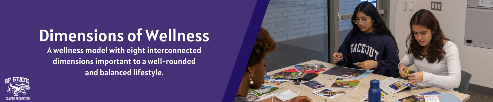 Dimension of Wellness Banner