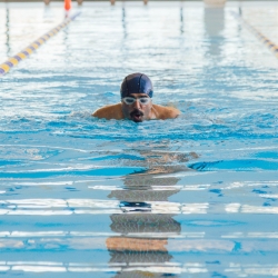 Adult Swimming in the Pool