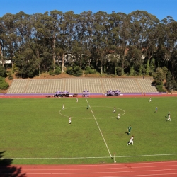 sf field