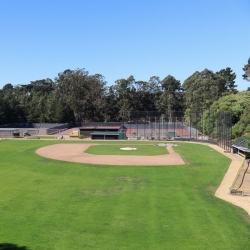 sf field