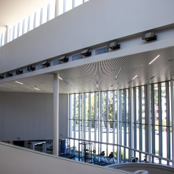 Image shows Natural Light provided at the MAshouf Wellness Center