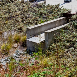 Bioswales located in front of Mashouf Wellness Center