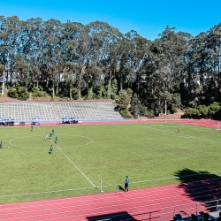 Field